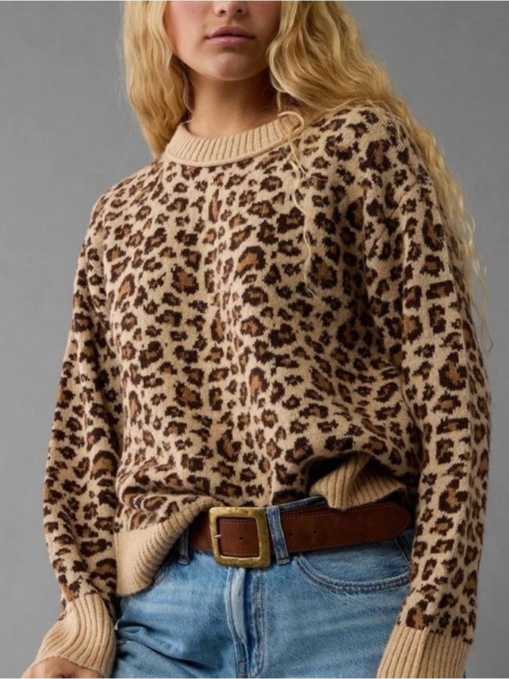 American Eagle Outfitters Leopard Print Crewneck Sweater